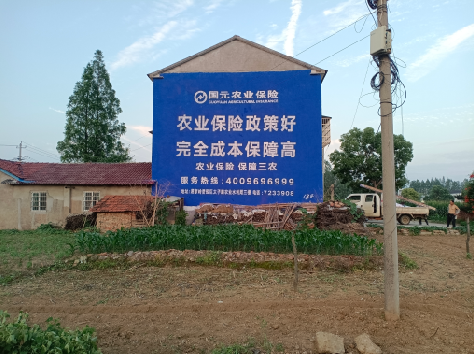 凯里墙体广告的优劣势你知道吗？